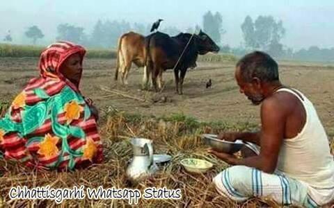 खेत जोतते हुए किसान 